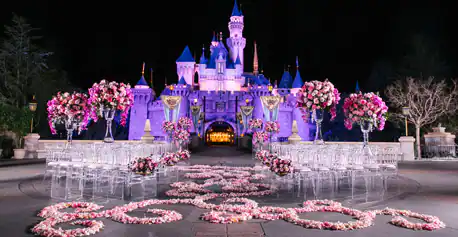 disney weddings